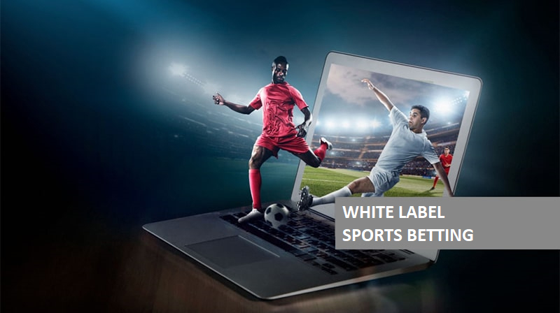White Label sports betting website