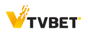 TVBet Betting Software: Order a Profitable Offer from Bett-Market