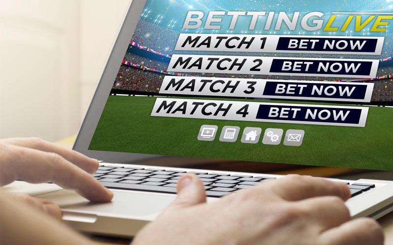 Display showing live odds: sweepstakes solutions