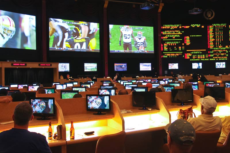 Appropriate setup for bookmaker’s brands