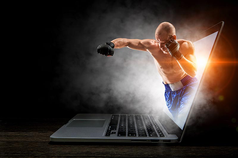 Martial arts betting marketing: key notions