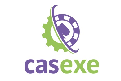 CASEXE company: general info