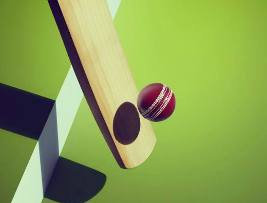 Спортивное букмекерство: ставки на крикет в Индии
