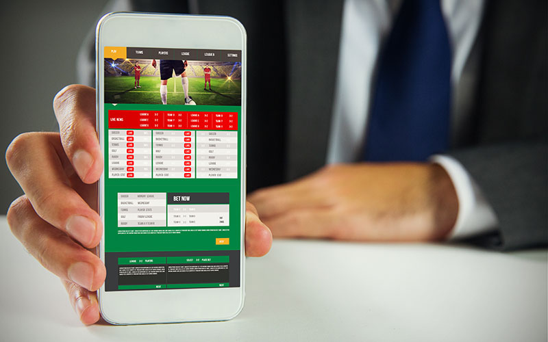 Sportsbook software for betting business