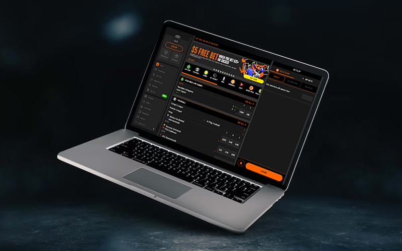 Беттинг-сайт по модели White Label: особенности