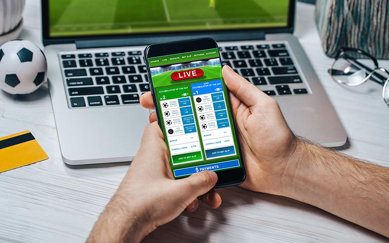 NEO.bet software for a betting business: key notions