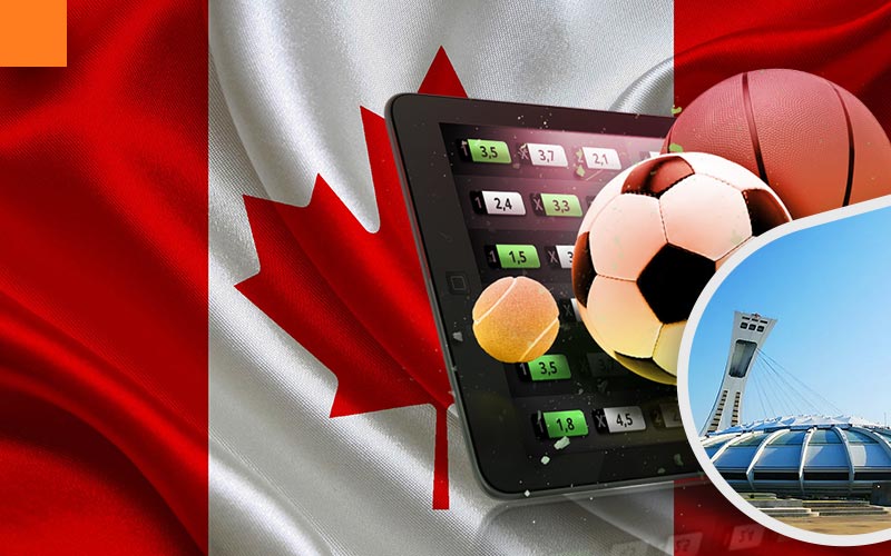 Betting business in Canada: professional assistance