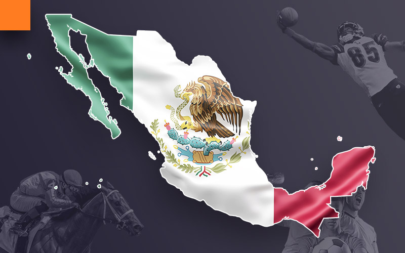 Betting business in Mexico with the right odds